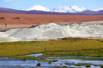 The colors of the Andean highlands: the green of the ponds, the white of the salt hills, the red highlands of the Atacama Desert, the white of the snowy volcanoes of the Andes, Chile