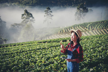 Asian women relax in the holiday. Stand photograph selfie In the Strawberry Farm. Mountain Park happily. In thailand