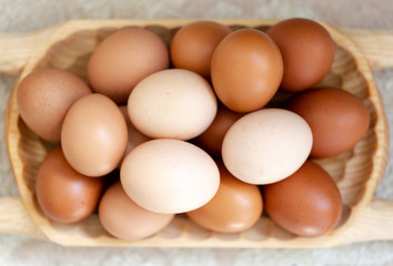 Plain multicoloured free range eggs on wooden plate