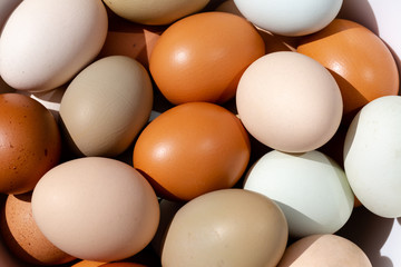 Plain multicoloured free range eggs full frame top view background