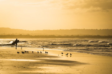 Fototapeta na wymiar Surfer in Byron Bay