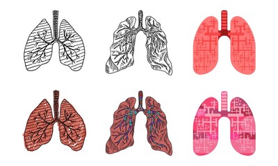 drawings of human lungs in different styles of drawing