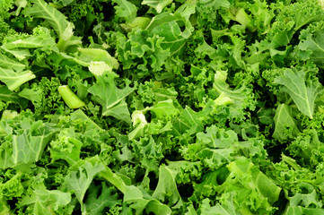 Naklejka premium Freshly chopped green curly kale leaves background