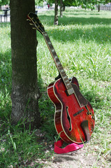 Jazz guitar near a tree on a background of grass