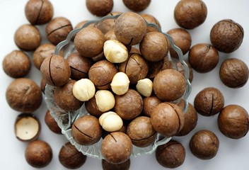 australian macadamia nut 