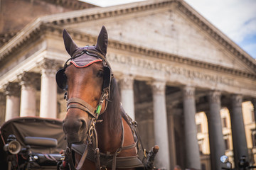 Obraz premium paseo por roma