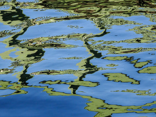 green reflections in the water