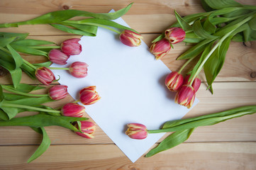 many tulips on the table above