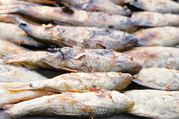 Close up dried grilled fish placed on zinc