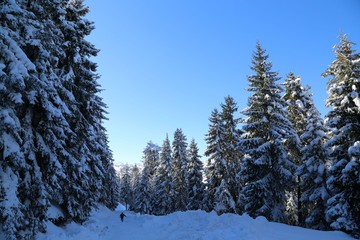 winter view karadeniz artvin /savsat/turkey