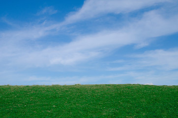 landscape of green hill and blue sky
