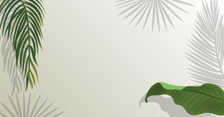 Fototapeta na wymiar Realistic green palm leaf branches on white background.