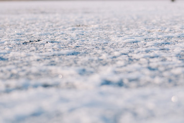 Salt of the dried estuary