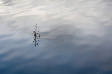 Reflejos en el agua