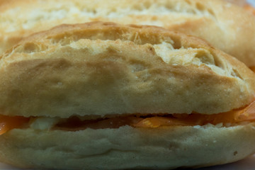 Close up, salmon sandwich