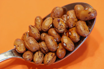 beans