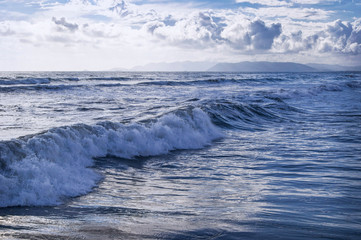 soft wave of the sea rolls on the sandy beach