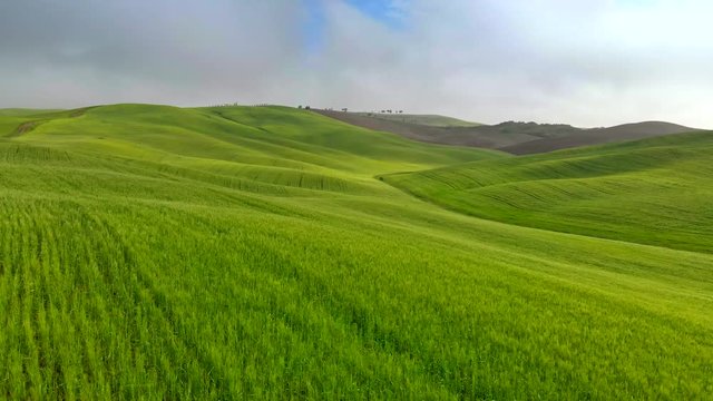 Flying over green hills of Tuscany, Italy in spring. Aerial shot, 4K