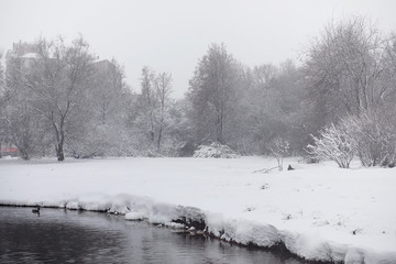 Snow-covered winter park and benches. Park and pier for feeding ducks and pigeons. The first snow covered the autumn park.