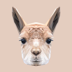 Llama low poly design. Triangle vector illustration.