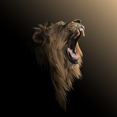 Lion low poly design. Triangle vector illustration. - 252599381