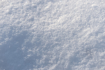 The texture of the snow close up. WInter background