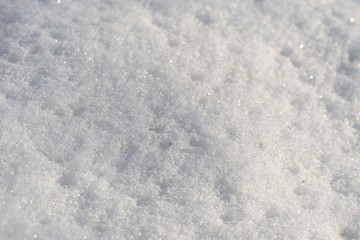 The texture of the snow close up. WInter background