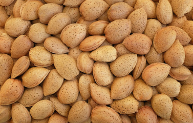 Fototapeta na wymiar Whole almonds in shells background