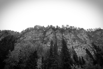 fog in the mountains