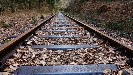 Alte Eisenbahnschienen f&uuml;hren in die Ferne