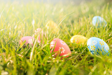 Colorful easter eggs on the sunny green meadow.