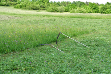 tradition scythe for mowing grass on the green meadow