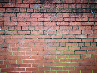 brick wall texture