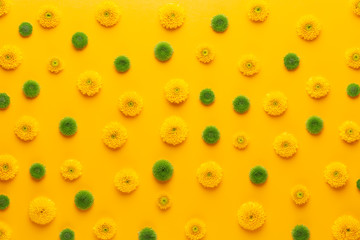 Yellow flower pattern on a yellow background.  Spring greeting card.