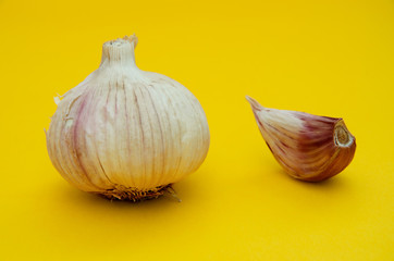 Garlic