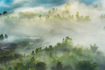 Fototapeta na wymiar City in the mist 7