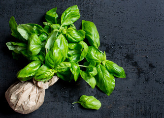 bouquet of fresh basil on a black background negative space