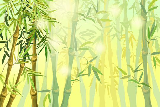 Background green bamboo stems and leaves. Template landscape summer sunny day. Vector illustration. © valadzionakvolha