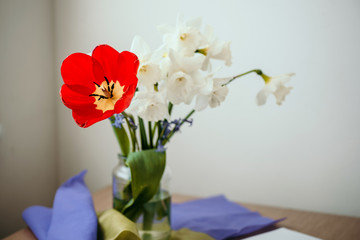 Springtime flower bouquet - red tulip and white narcissus flowers