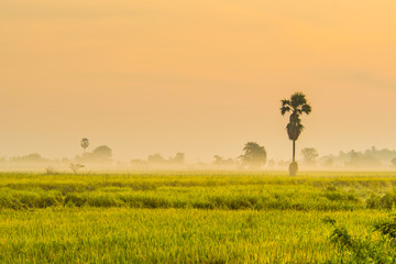 Field with beautiful sky9