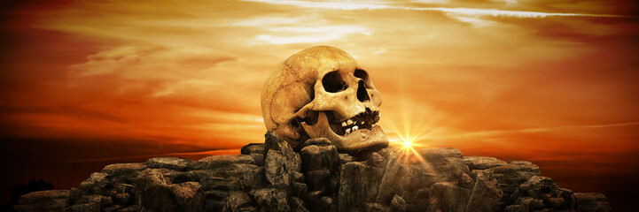 human skulls at sunset. 3d rendering  © lchumpitaz