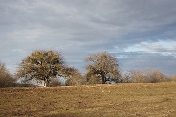 Adygea mountains