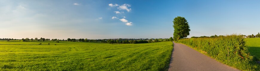 Northern Eifel Meadow Landscape, Germany