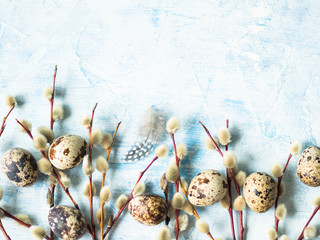 Quail eggs and feathers with willow branches on a blue background. Easter holiday concept. Top view