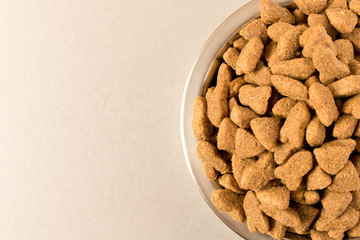 Bowl with dog food on a light background . Close up.