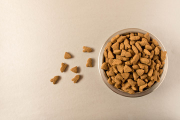 Bowl with dog food on a light background . Close up.