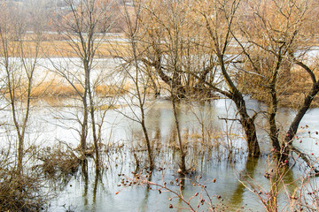 The river overflowed its banks after the snow melted.
