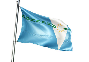 Formosa province of Argentina flag waving isolated 3D illustration