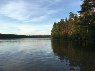 Fototapeta premium lake in forest
