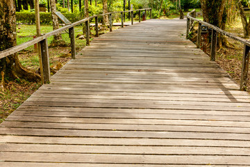 Fototapeta na wymiar Wooden walkway in the park. Path from wooden boards. Sarawak Culture village. Borneo. Malaysia.